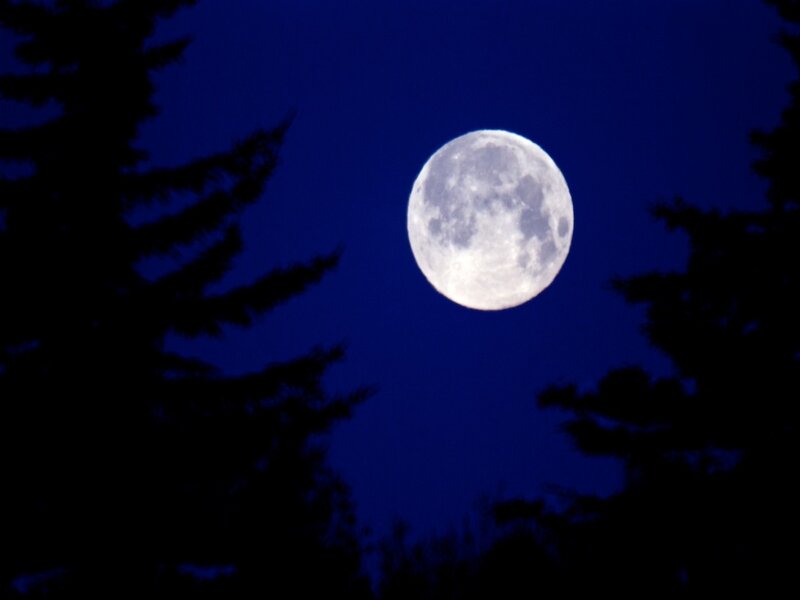 Full Moon in Night Sky — Blue