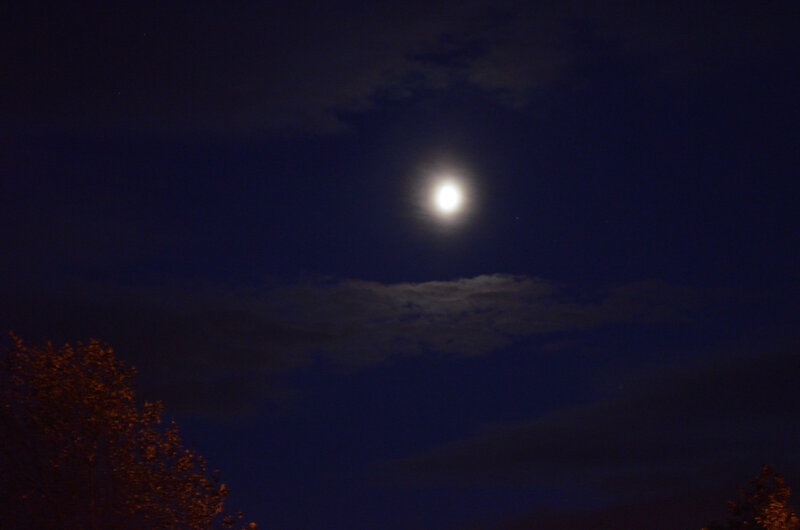 Full Moon in Night Sky — Dark Blue, Serene
