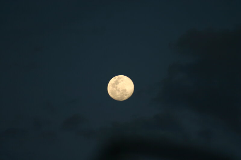 Full Moon in Night Sky — Dark Blue