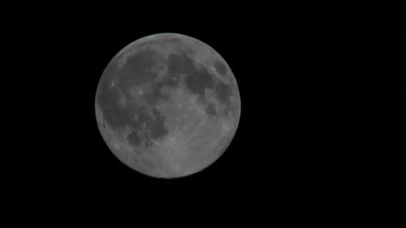 Full Moon in Night Sky — Gray