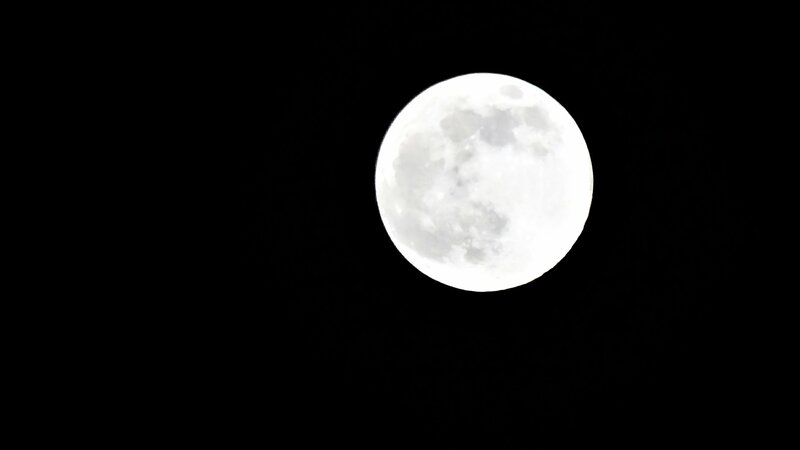 Full Moon in Night Sky — White, Black
