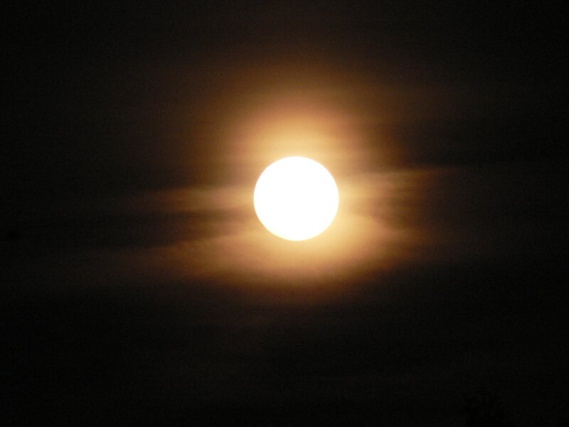 Full Moon in Night Sky — Yellow, Dramatic, Photograph, Clouds, Black