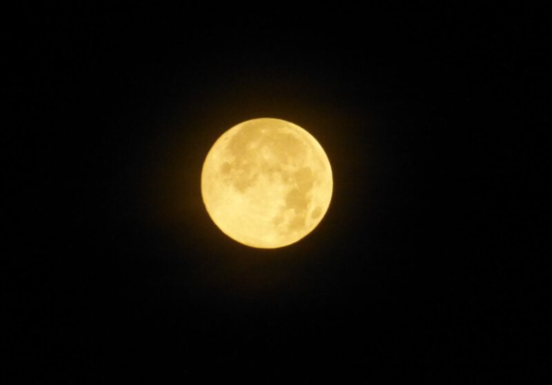 Full Moon in Night Sky — Yellow, Serene