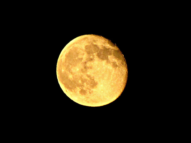Full Moon in Night Sky — Yellow