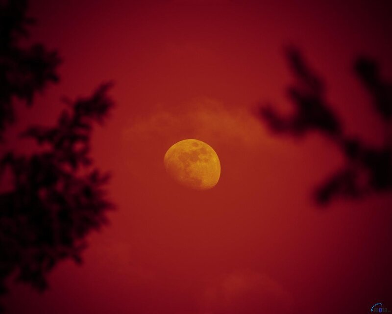 Full Moon in Red Sky