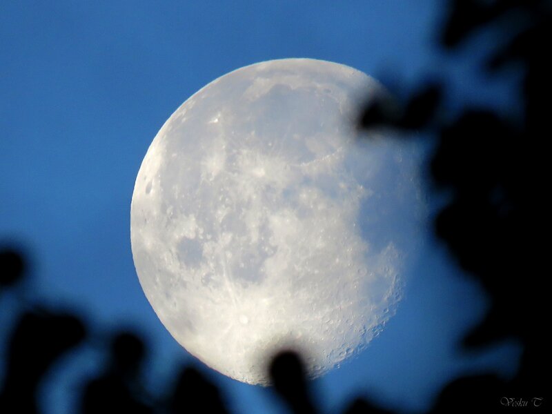 Full Moon in Sky — Blue, Serene, Night