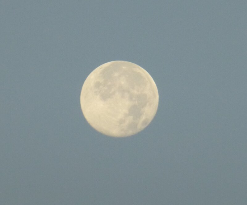 Full Moon in Sky — Gray, Calm, Night, Photograph