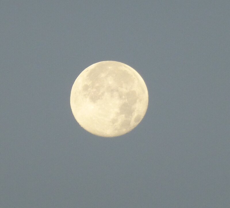Full Moon in Sky — Gray, Calm, Night