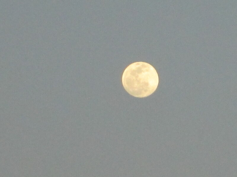 Full Moon in Sky — Gray, Calm