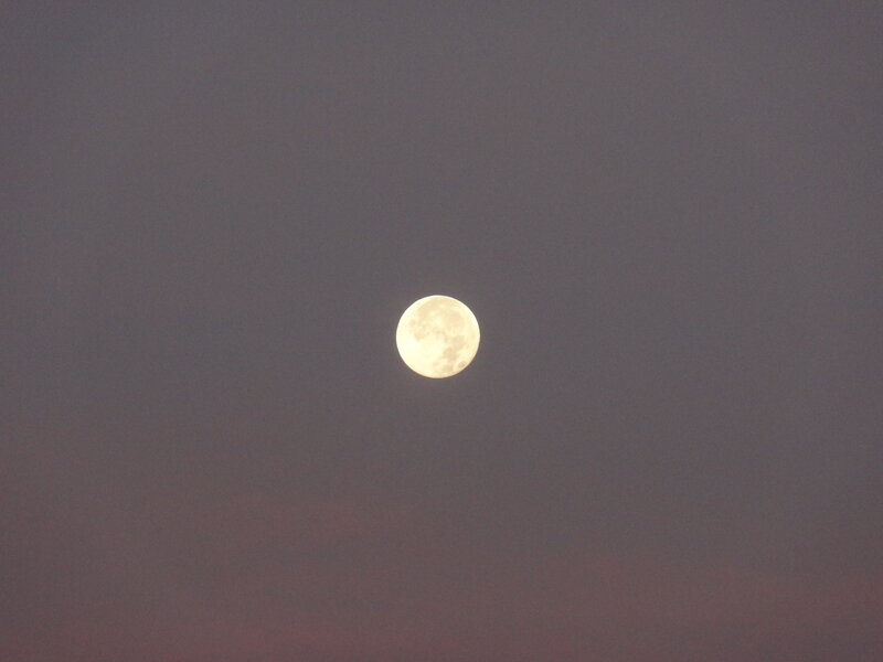 Full Moon in Sky — Gray