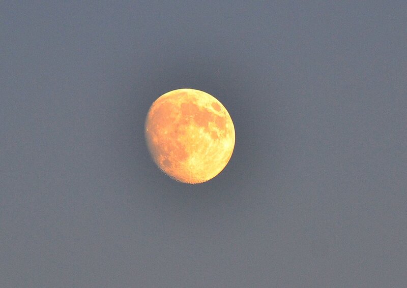 Full Moon in Sky — Orange
