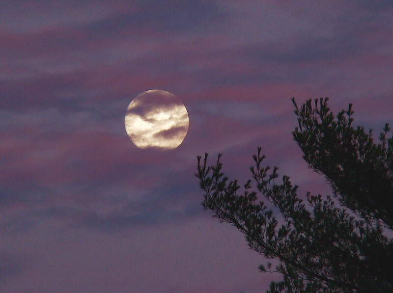 Full Moon in Sky — Purple