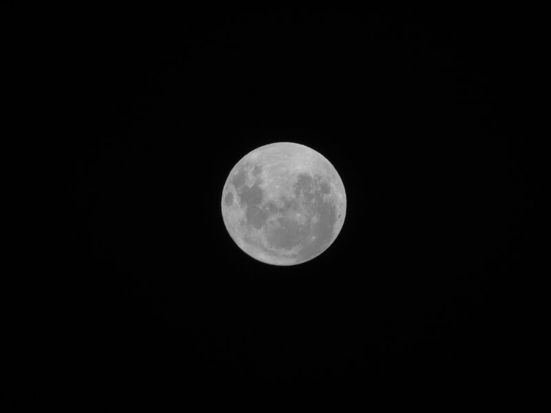 Full moon in the night sky