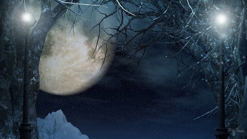 Full Moon in Winter Forest