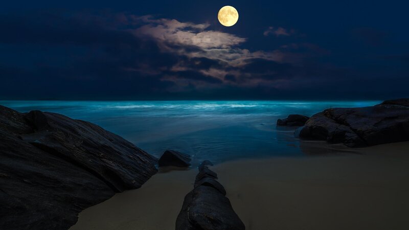 Full Moon over Beach — Blue, Serene, Night, Photograph