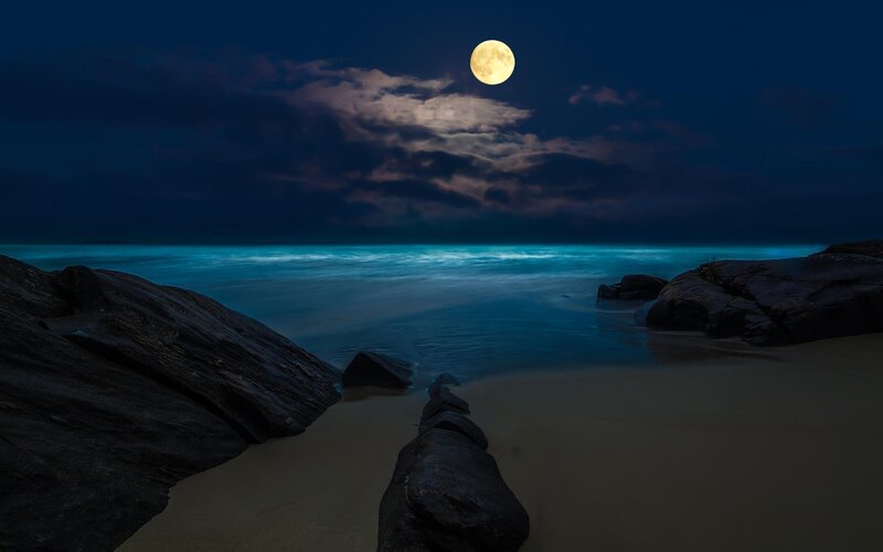 Full Moon over Beach — Blue, Serene, Night