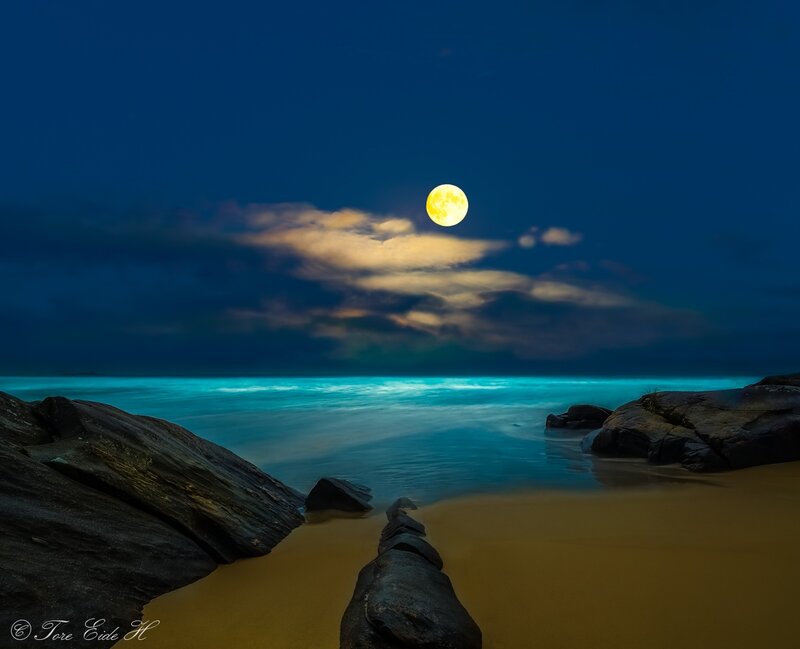 Full Moon over Beach — Blue, Serene