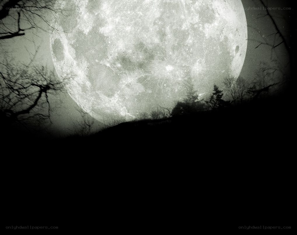 full moon over dark forest