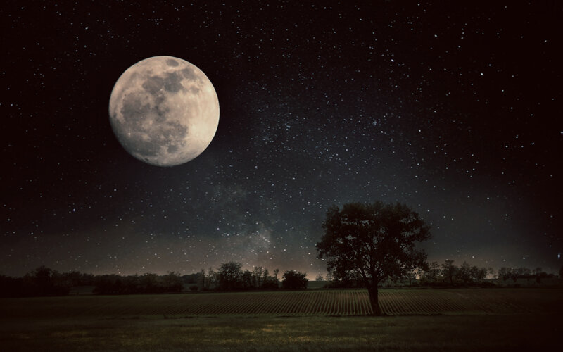 Full Moon over Field — Black, Serene