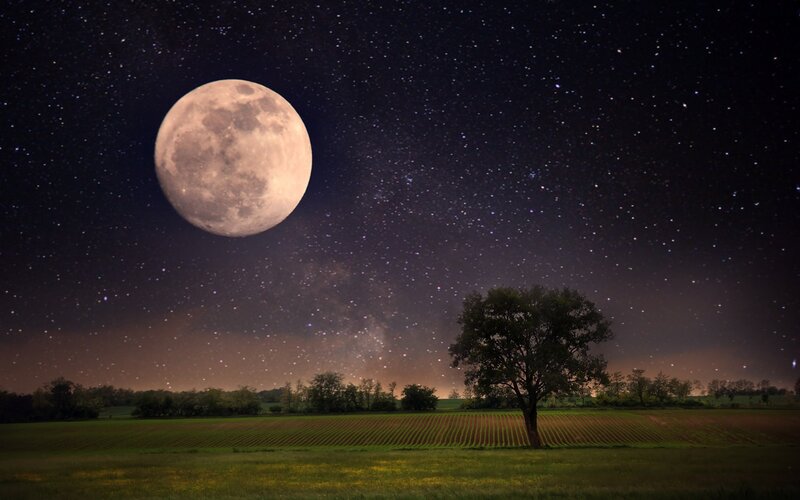 Full Moon over Field — Black