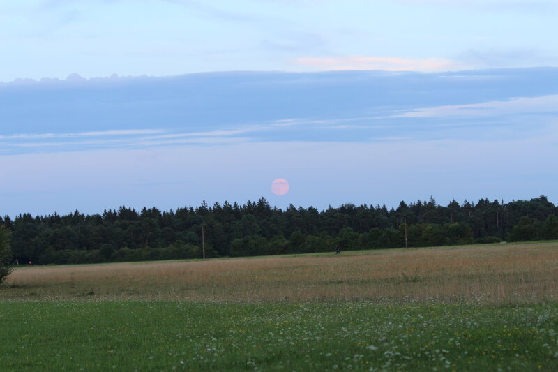 Full Moon over Field — Blue, Serene, Sunset