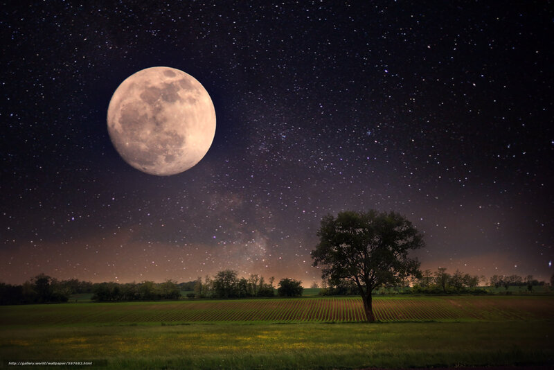 Full Moon over Field — Green, Serene