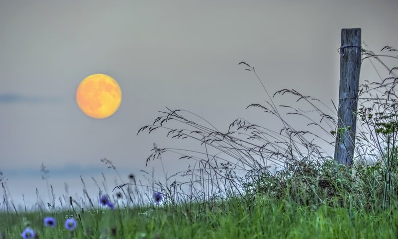 Full Moon over Field — Green