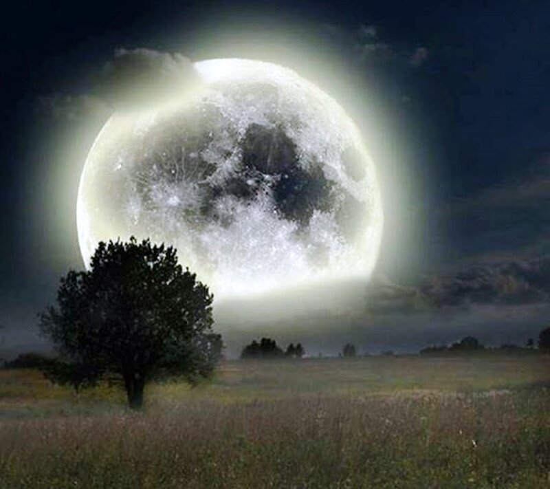 Full Moon over Field — White
