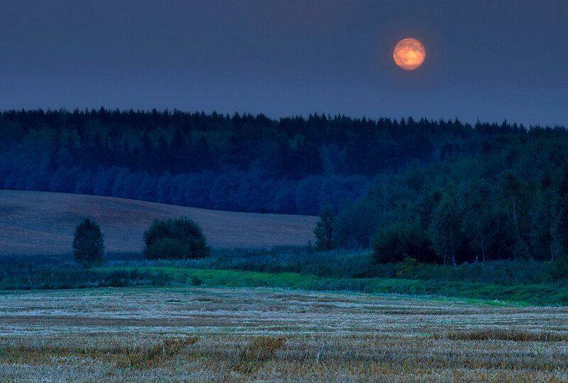 Full Moon over Fields