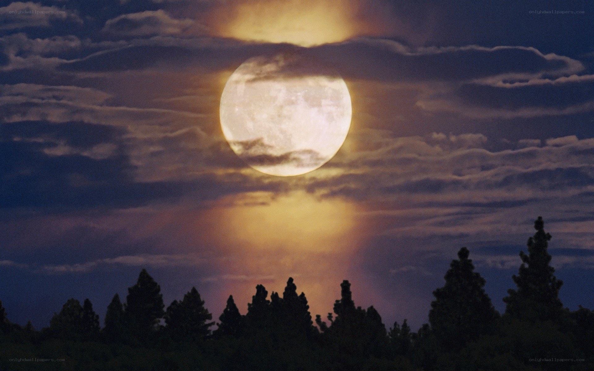 Full moon over forest