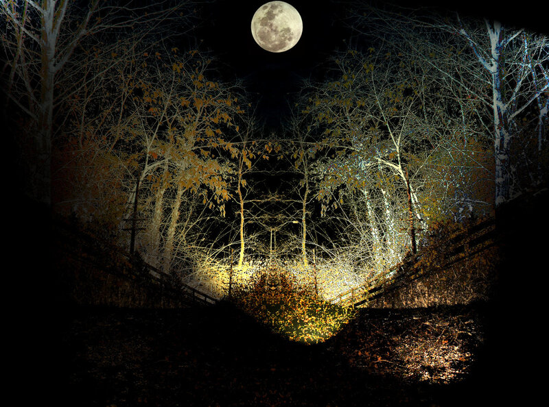 Full Moon over Forest — Black, Dramatic
