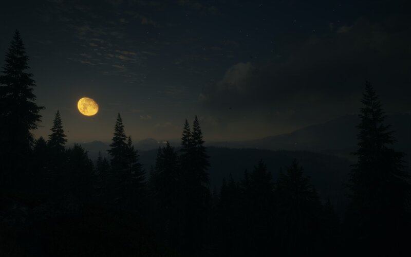 Full Moon over Forest — Black, Serene, Night, 3d Render