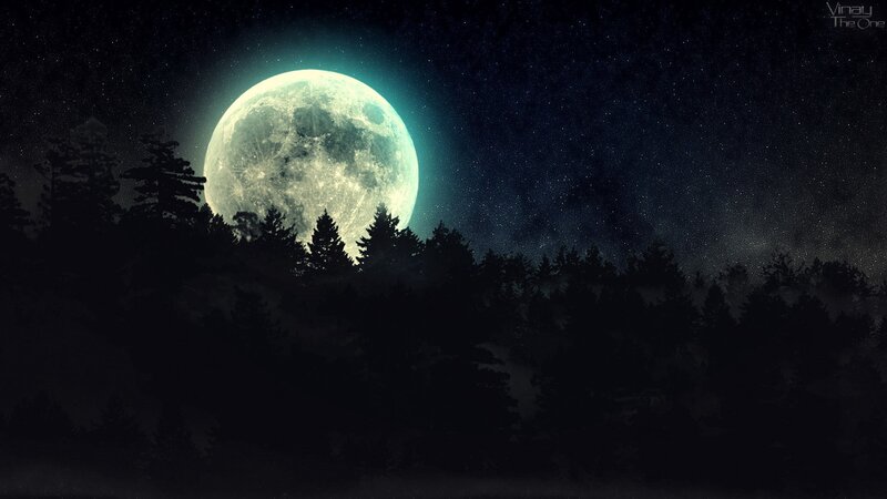 Full Moon over Forest — Black, Serene, Night, Digital Art