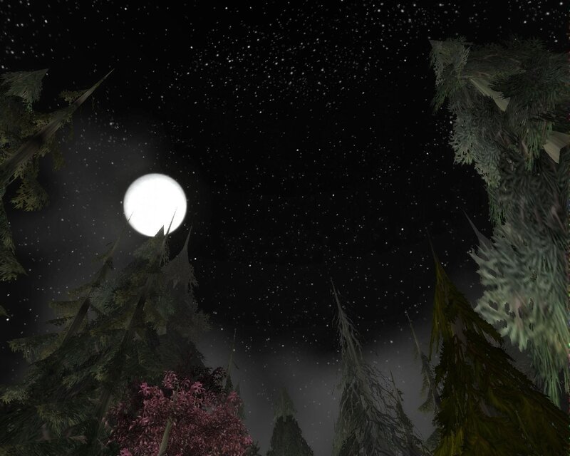 Full Moon over Forest — Black