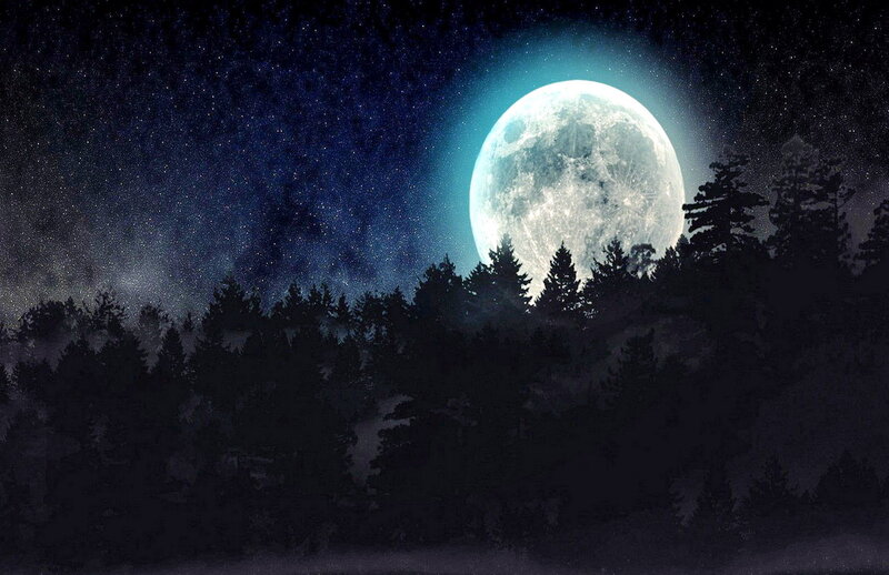 Full Moon over Forest — Blue, Serene, Night