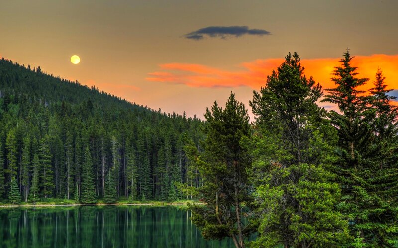 Full Moon over Forest Lake