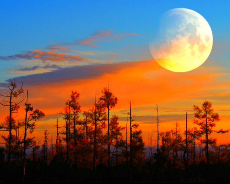 Full Moon over Forest — Orange, Dramatic, Sunset