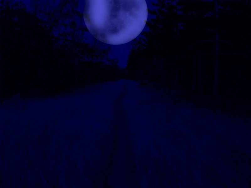 Full Moon over Forest Path