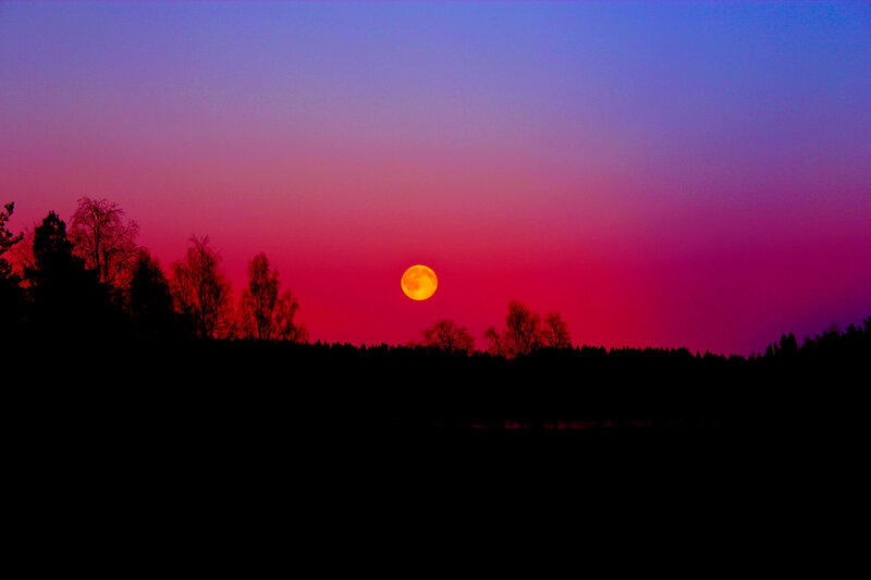 Full Moon over Forest — Red