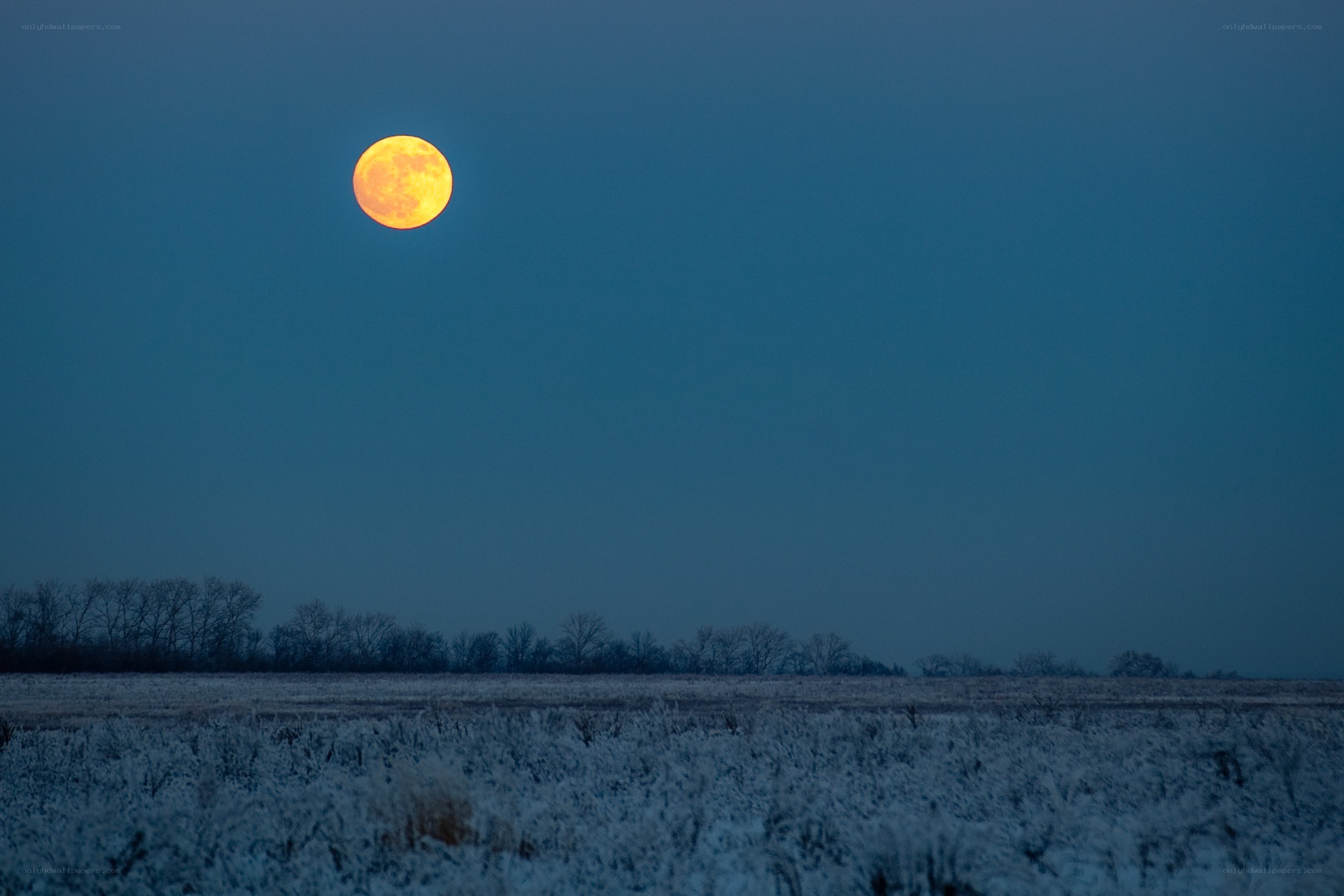 Full moon over frosty field