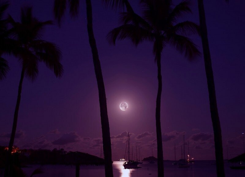Full Moon over Harbor