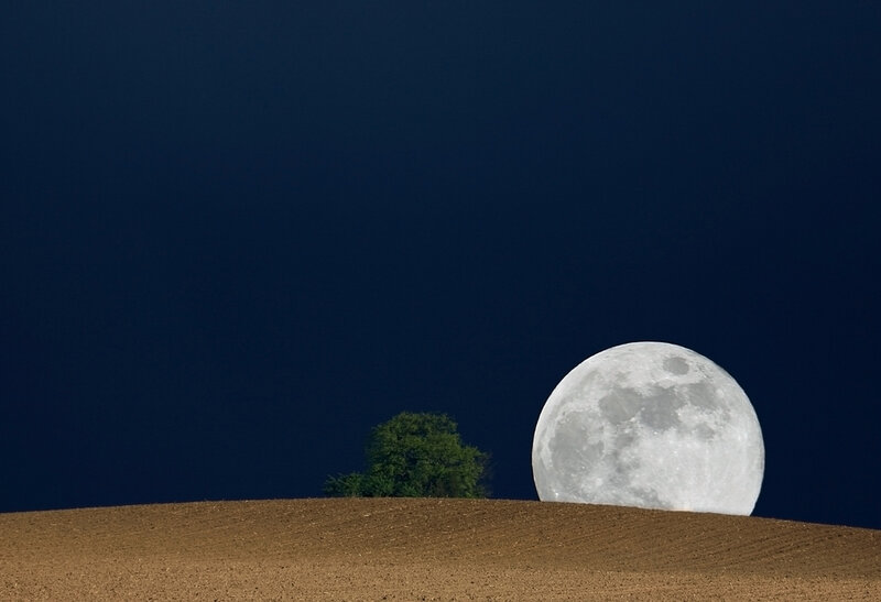Full Moon over Hill — Brown