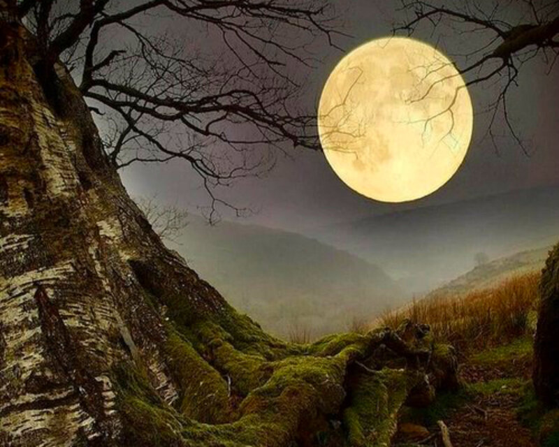 Full Moon over Hills — Yellow