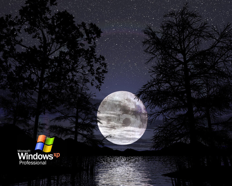 Full Moon over Lake — Black, Serene, Night, Digital Art, Trees, Stars, Gray