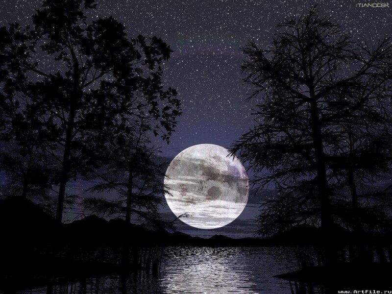 Full Moon over Lake — Black, Serene, Night, Digital Art, Trees, Stars, Water
