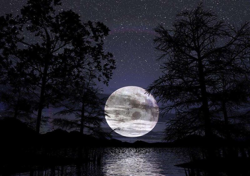 Full Moon over Lake — Black, Serene, Night, Digital Art, Trees