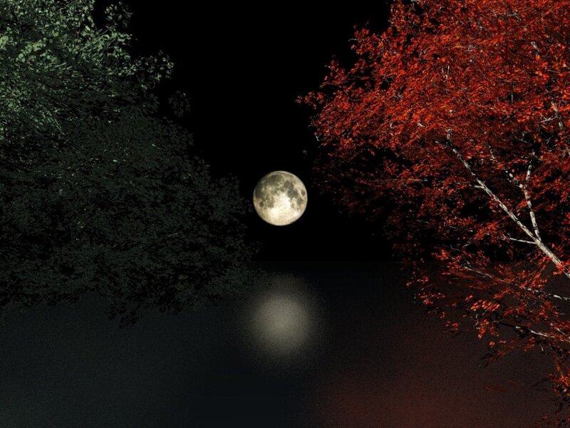 Full Moon over Lake — Black, Serene, Night, Photograph