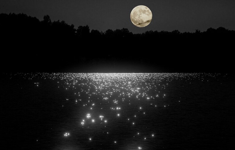 Full Moon over Lake — Black, Serene, Night, Photograph, Trees, Water
