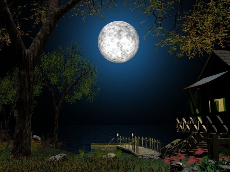 Full Moon over Lake — Blue, Serene, Night, 3d Render