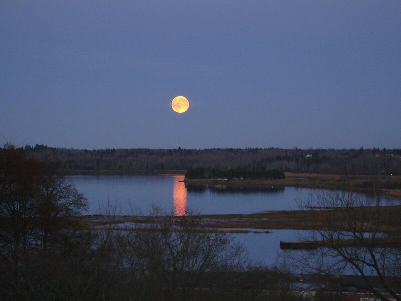 Full Moon over Lake — Blue, Serene, Night, Photograph, Trees, Reflection, Orange